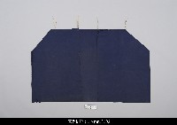 藏品(印度傀儡舞台布)的圖片